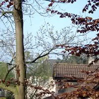 ECHTE boomkleverts