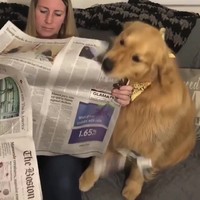 De krant is fake news