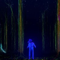 Vette projectieshow in AGT