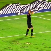 Lekker veldje om op te spelen