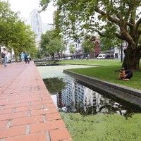 Gozer springt over Rotterdamse sloot met schroef