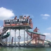 Daar komt Tarzan!