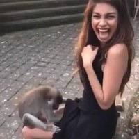Aapje zoekt banaantje