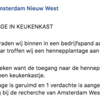 Wietplantage in keukenkast