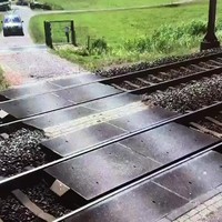 Snel nog oversteken