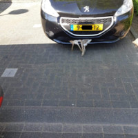 Pasen is gecanceld