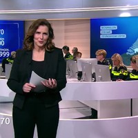 Raar stel dieven