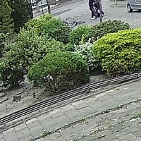 Tokkie en ginger jatten tasje