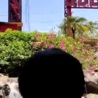 Free fall attractie komt naam na