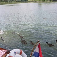 Iedereen houdt van Snollebollekes