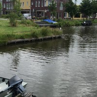 Zwaan sloopt meeuw