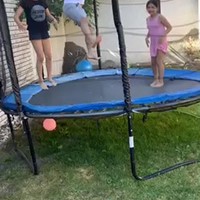 Papa op de trampoline