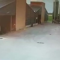 Beelden brandstichter van twee kippenschuren