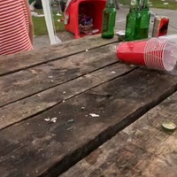 Meeuwen vangen op de camping