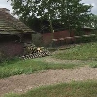 Boompje omzagen naast de schuur