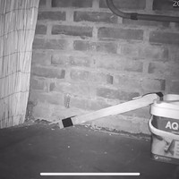 Muis te slim voor val
