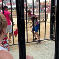 Stier versus hekwerk