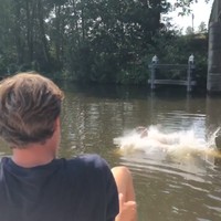 Hij is de stoerste