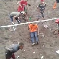 Stop de stier met een stokje