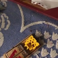 Muizenval testen
