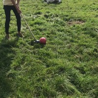 De Tiger Woods van het zuiden.