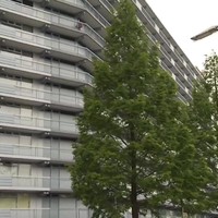 Overvalstuig richt pistool op bejaarde