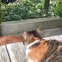 Oprotten bij mijn vriend