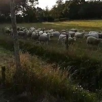 Discussiƫren in de Tweede Kamer