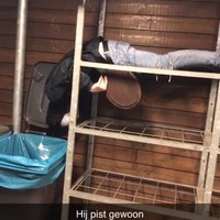 Te lam om te zeiken