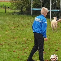 Voetballen met je schaap