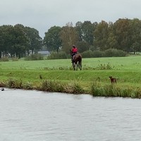 Alternatief wakeboarden