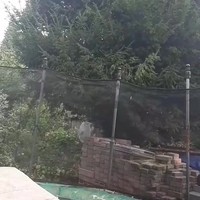 Trucje op de trampoline