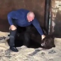 Typisch gevecht in Rusland
