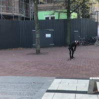Skateboard pauper