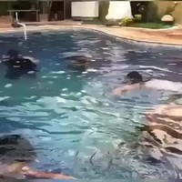 Budget Titanic