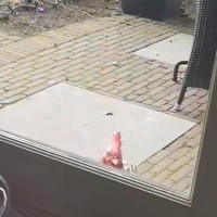 Even een eitje bakken