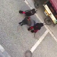 Krampus in Noord-Italië