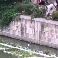 Poeskat uit de water vissen
