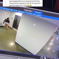 Meisje gaat ff de hond oplaten