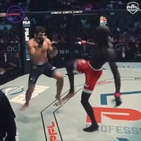 MMA videogame