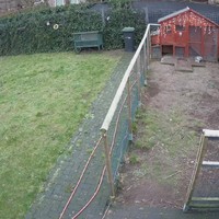 Kippen hebben bezoek
