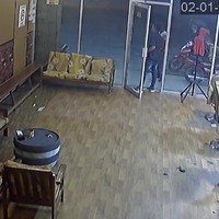 Kortpittig kapseltje terroriseert kapsalon