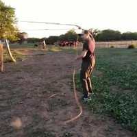 Oefenen met de lasso