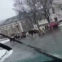Boer verliest lading