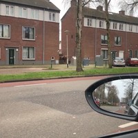 Paard in de gang