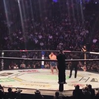 Conor McGregor vs Cowboy Cerrone