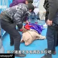 Chinees pretpark doet wtf-promotiestunt