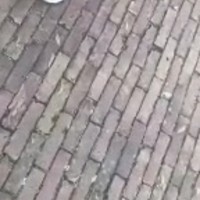 Moeder is er klaar mee