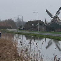 F1 in Maasland