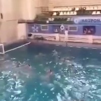 Waterpologevecht